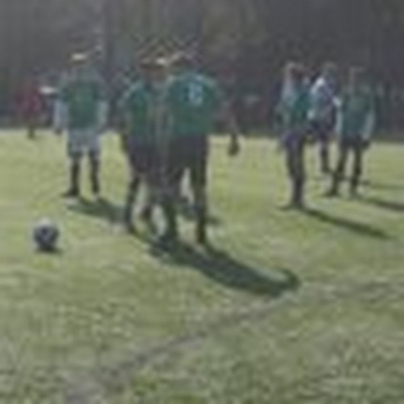 Meet your Posher, Krishna - Picture 1 of 1